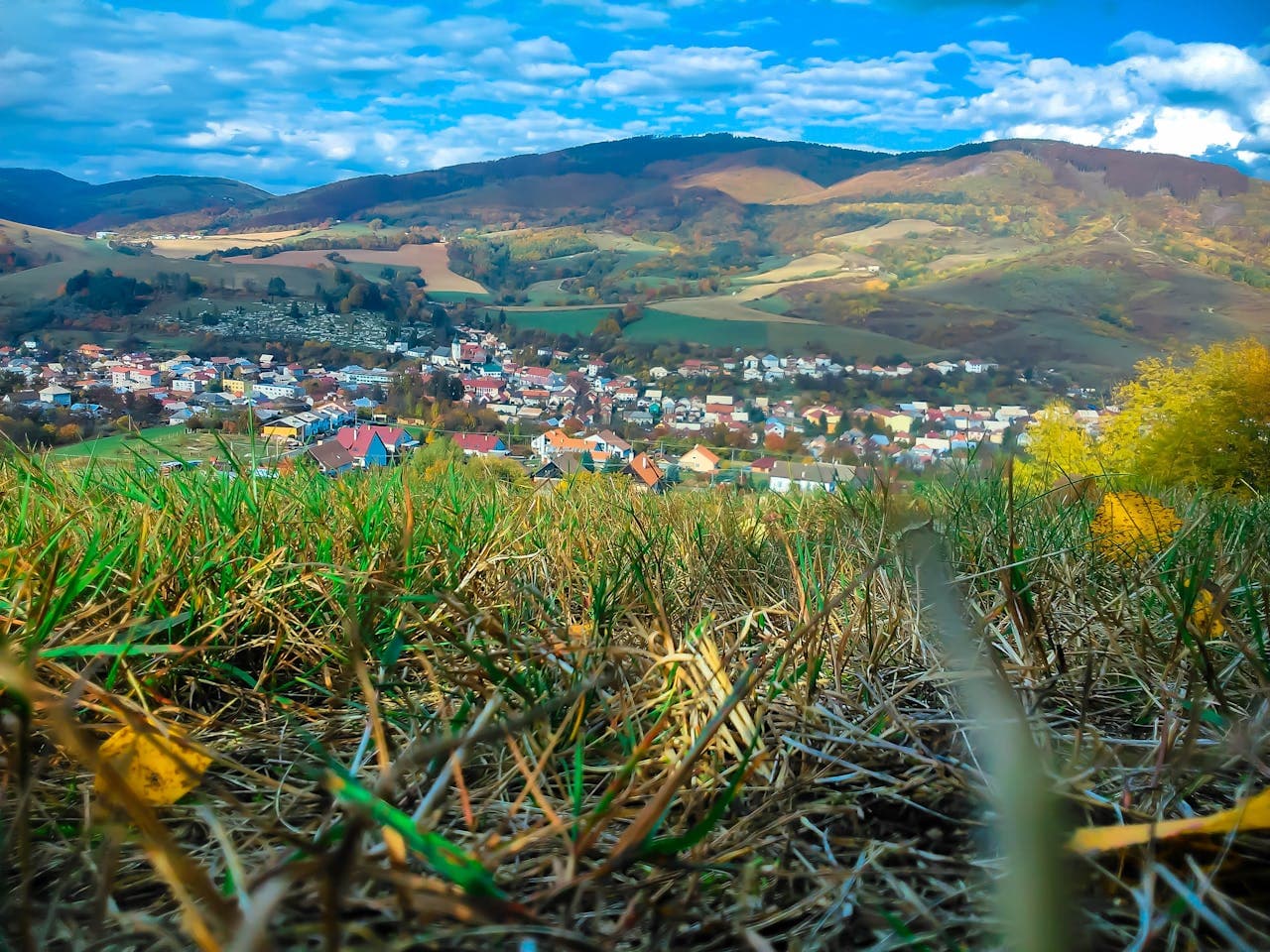 Pemandangan Desa Karang Baru Timur dengan sawah dan pegunungan